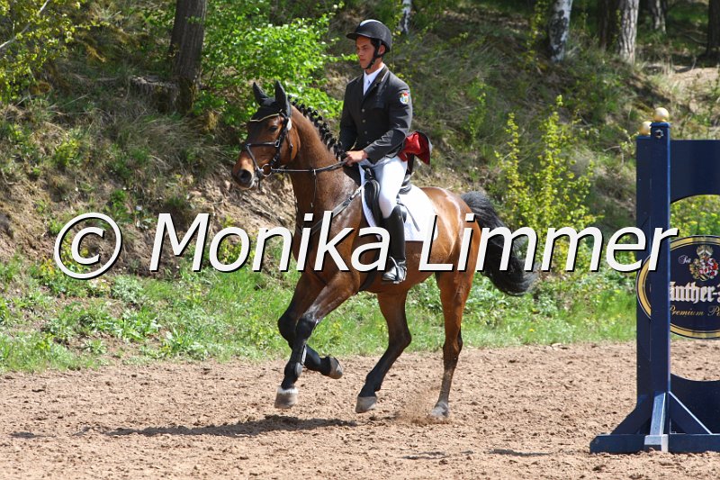 004M1892_Chuck_Springpferde A xx.JPG